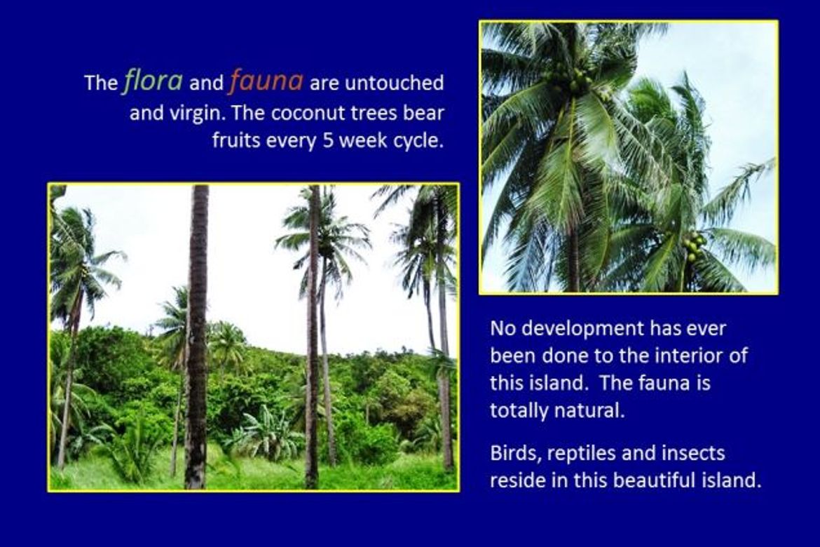 Land for Sale in Cagbalogo, Vinzons, Camarines Norte – photo 8