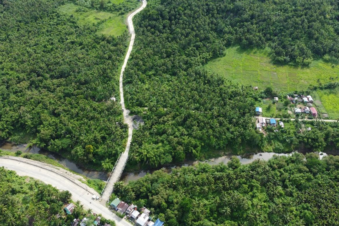Land for Sale in Cagbayang, Calbayog, Samar – photo 4