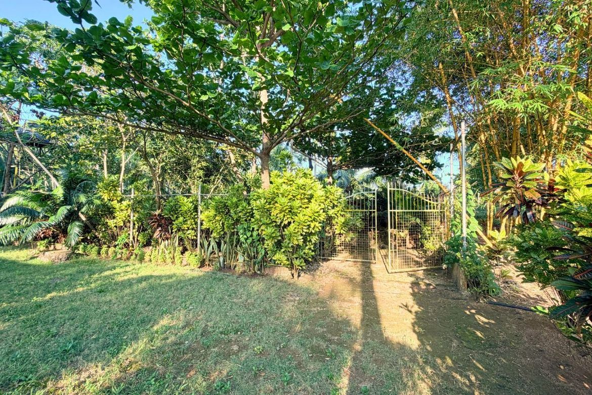 Land for Sale in Cagcagan, Poro, Cebu – photo 6