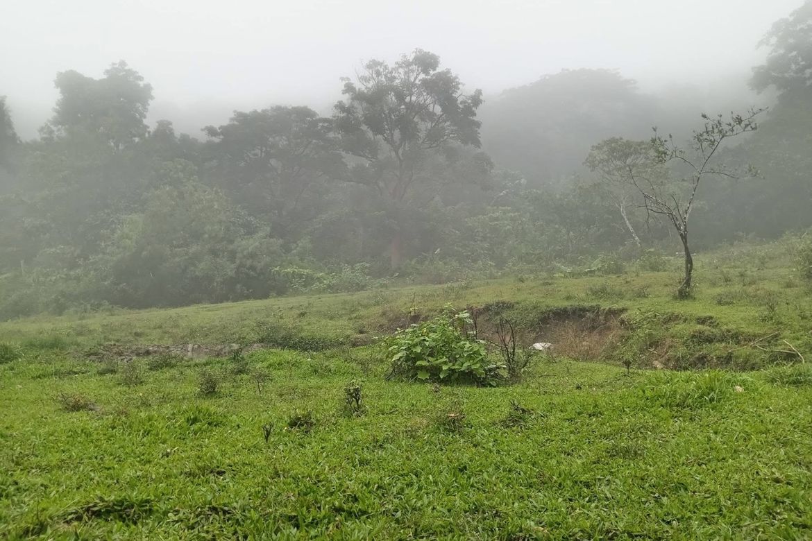 Land for Sale in Cagsiay II, Mauban, Quezon – photo 6