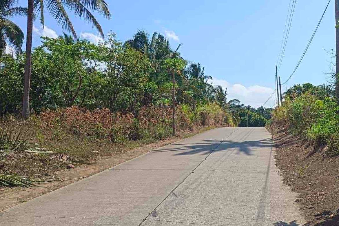Land for Sale in Cahil, Calaca, Batangas