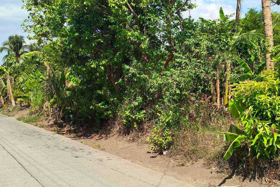 Land for Sale in Cahil, Calaca, Batangas – photo 2
