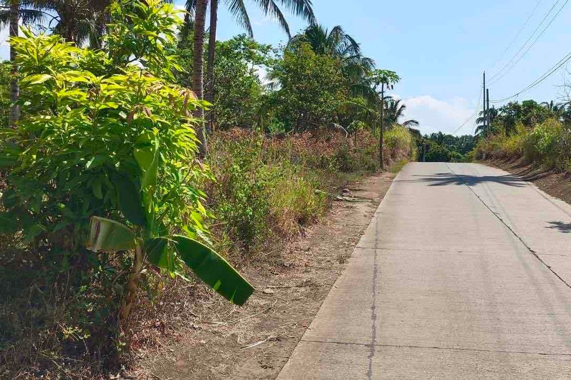 Land for Sale in Cahil, Calaca, Batangas – photo 3
