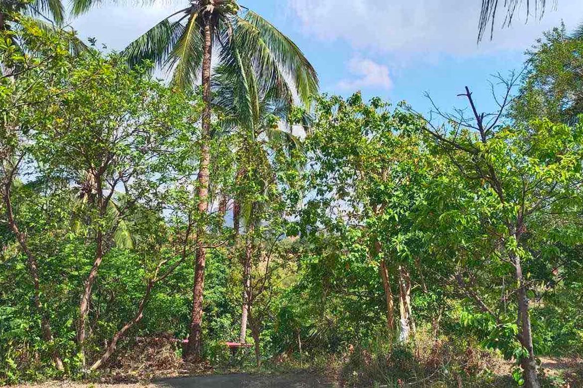 Land for Sale in Cahil, Calaca, Batangas – photo 4