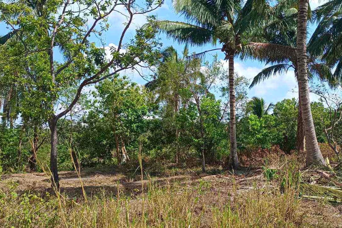Land for Sale in Cahil, Calaca, Batangas – photo 5