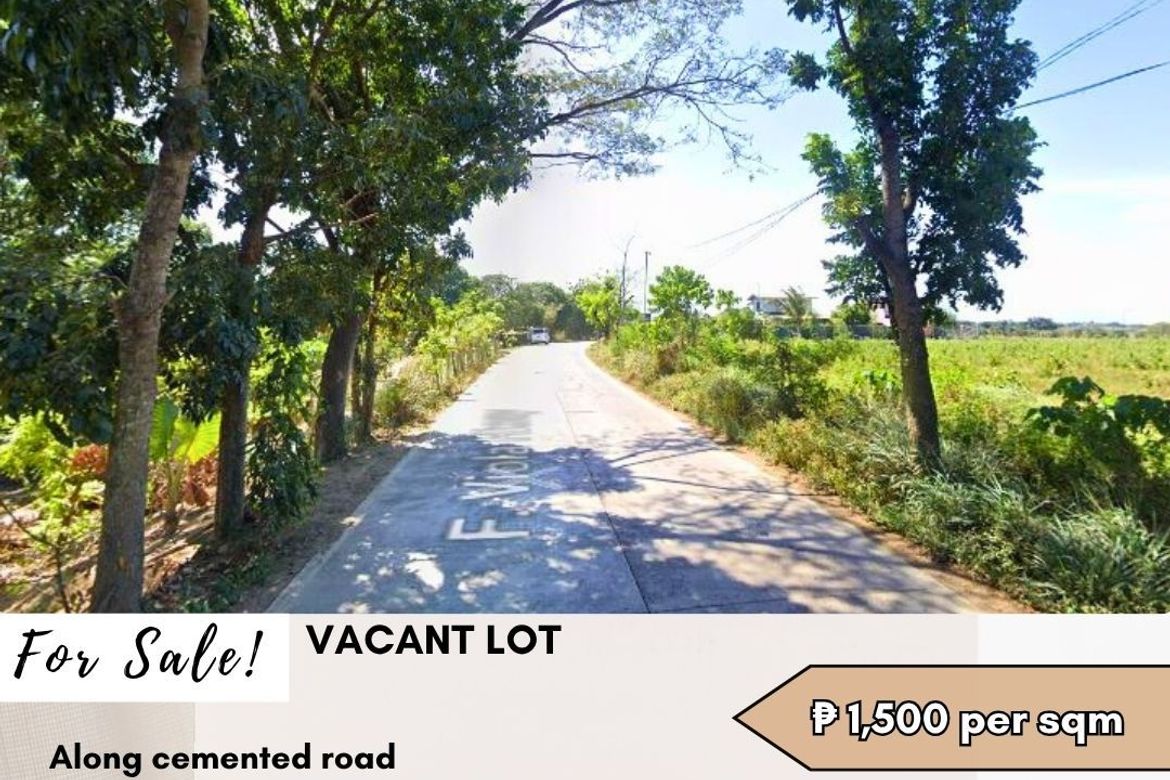 Land for Sale in Caingin, San Rafael, Bulacan
