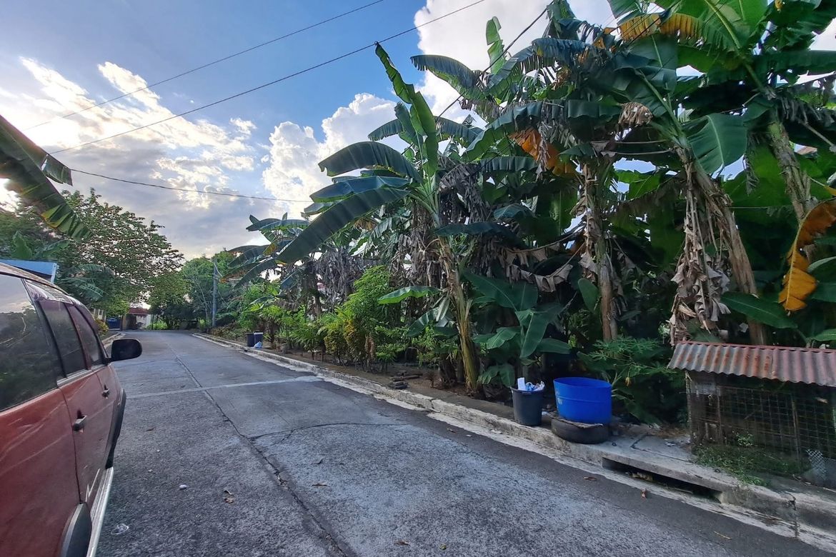 Land for Sale in Cainta Greenland Executive Village, San Isidro, Cainta, Rizal