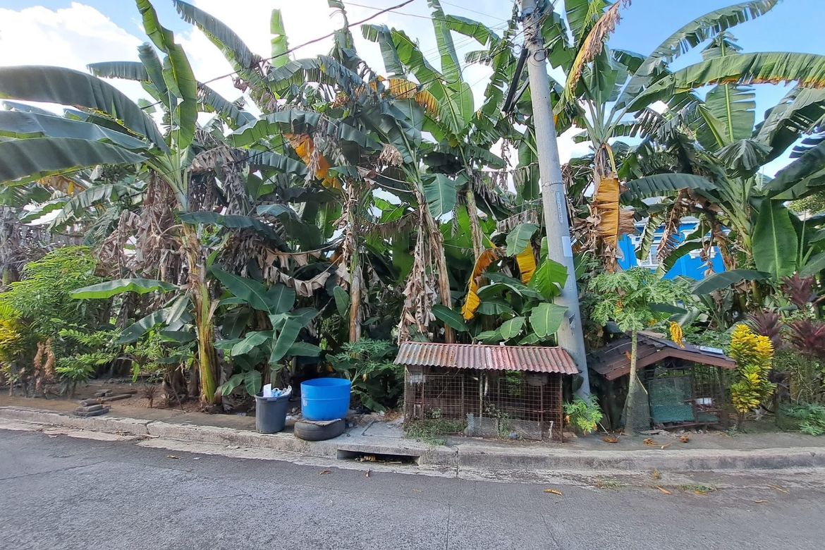 Land for Sale in Cainta Greenland Executive Village, San Isidro, Cainta, Rizal – photo 3