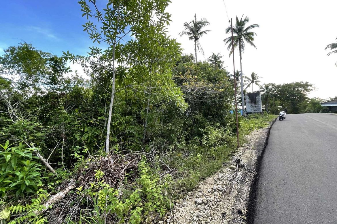 Land for Sale in Caipilan, Siquijor, Siquijor – photo 5