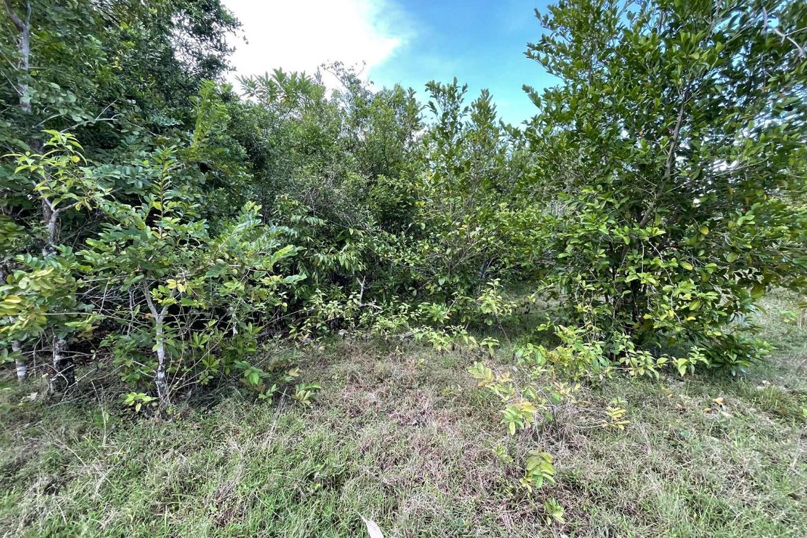 Land for Sale in Caipilan, Siquijor, Siquijor – photo 6