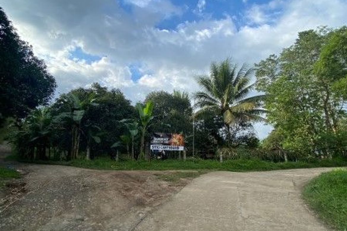 Land for Sale in Calabnugan, Sibulan, Negros Oriental – photo 2