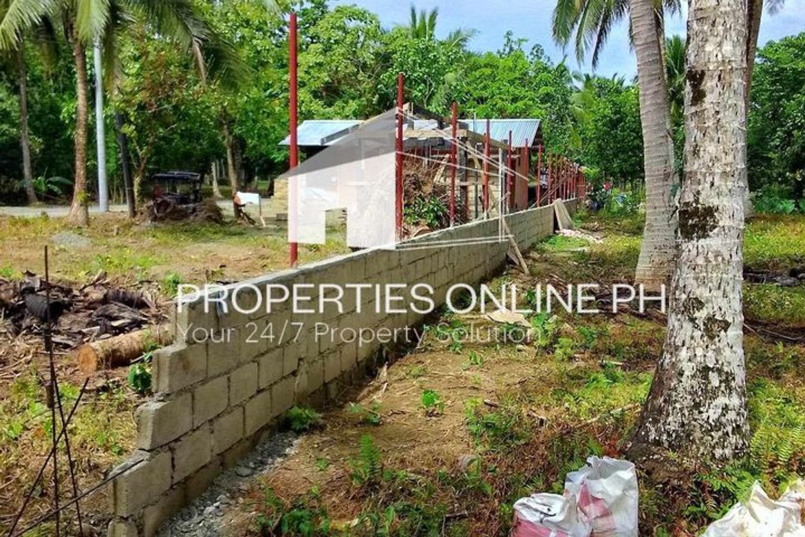 Land for Sale in Calabuanan, Baler, Aurora – photo 2