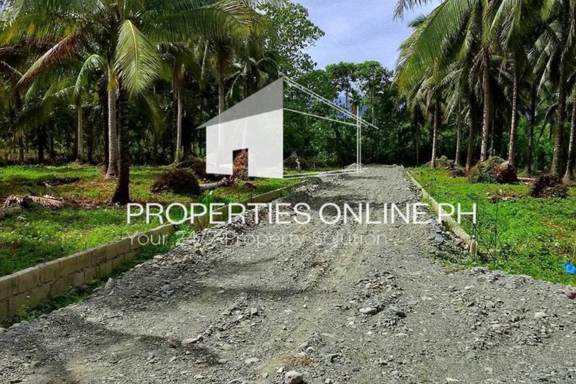 Land for Sale in Calabuanan, Baler, Aurora – photo 4