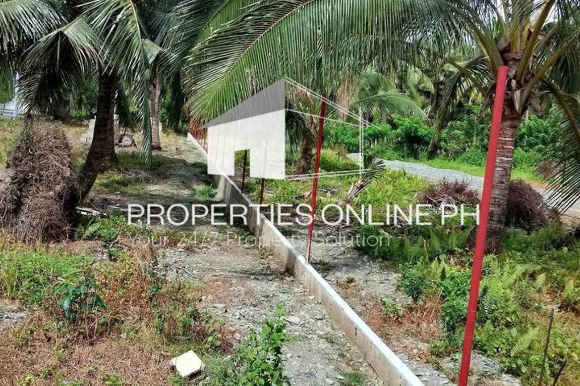Land for Sale in Calabuanan, Baler, Aurora – photo 5