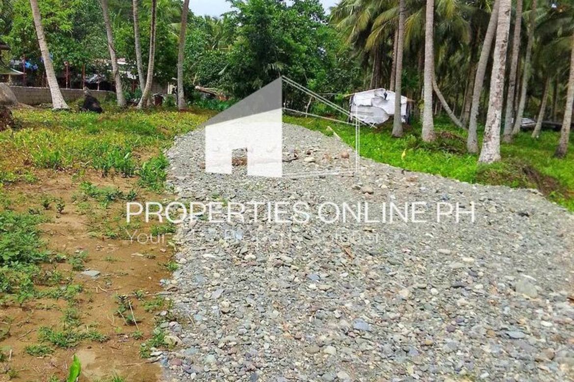 Land for Sale in Calabuanan, Baler, Aurora – photo 6