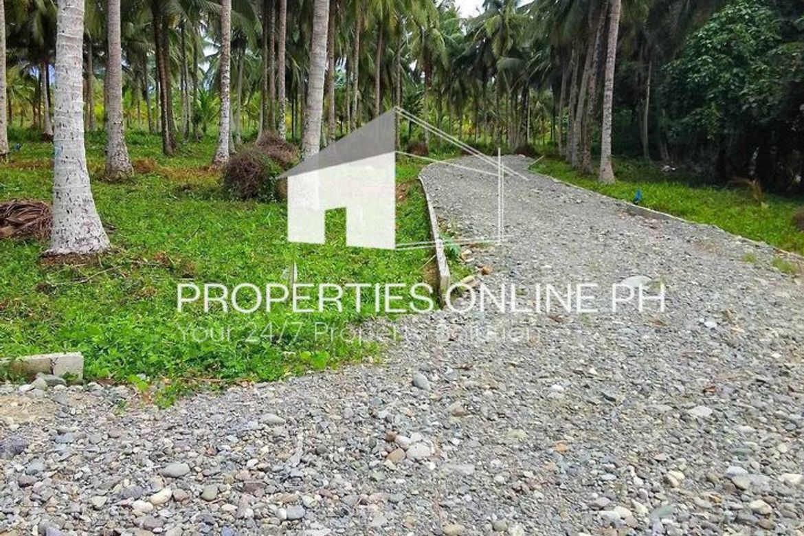 Land for Sale in Calabuanan, Baler, Aurora – photo 7