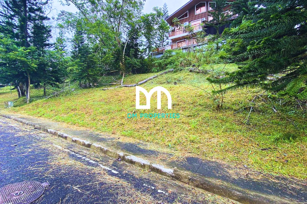 Land for Sale in Calabuso, Tagaytay, Cavite – photo 2