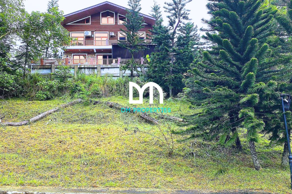 Land for Sale in Calabuso, Tagaytay, Cavite – photo 3