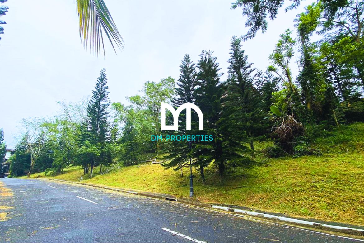 Land for Sale in Calabuso, Tagaytay, Cavite – photo 5
