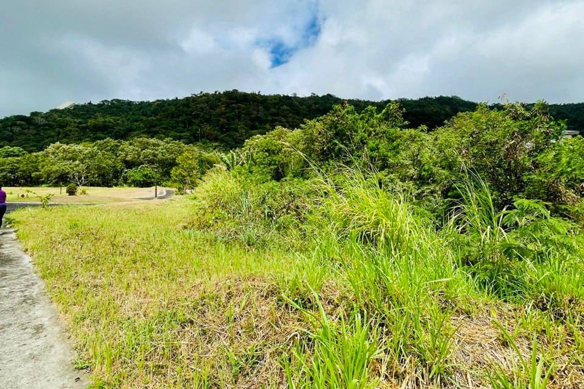 Land for Sale in Calabuso, Tagaytay, Cavite – photo 2