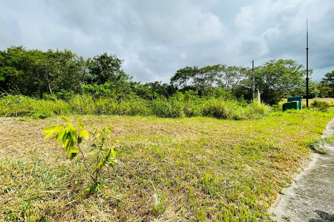 Land for Sale in Calabuso, Tagaytay, Cavite – photo 3