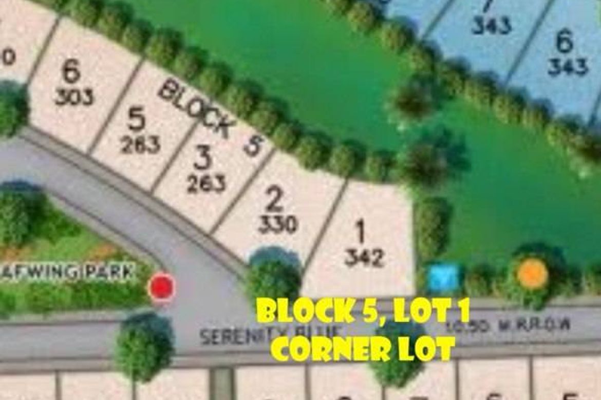 Land for Sale in Calabuso, Tagaytay, Cavite – photo 5