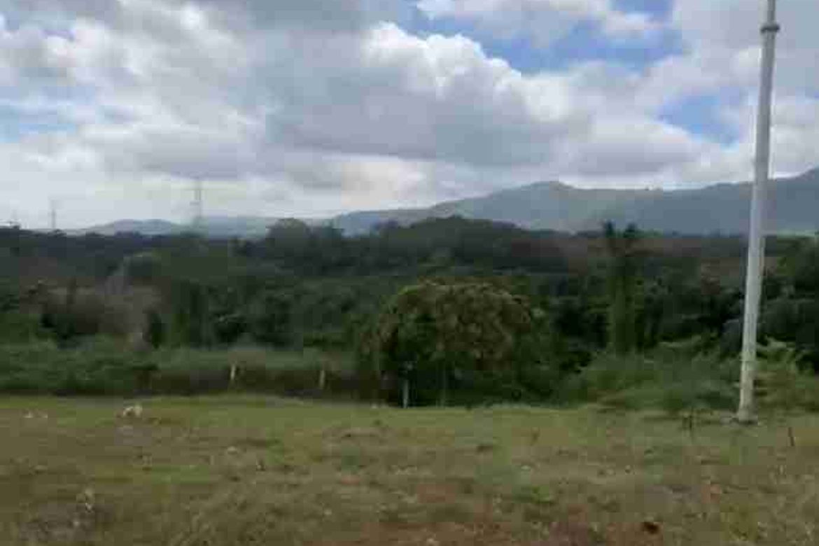 Land for Sale in Calabuso, Tagaytay, Cavite