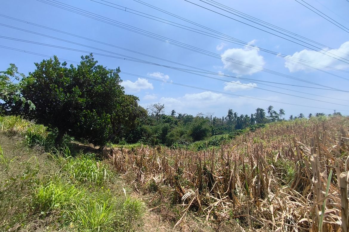 Land for Sale in Calaca, Batangas – photo 4