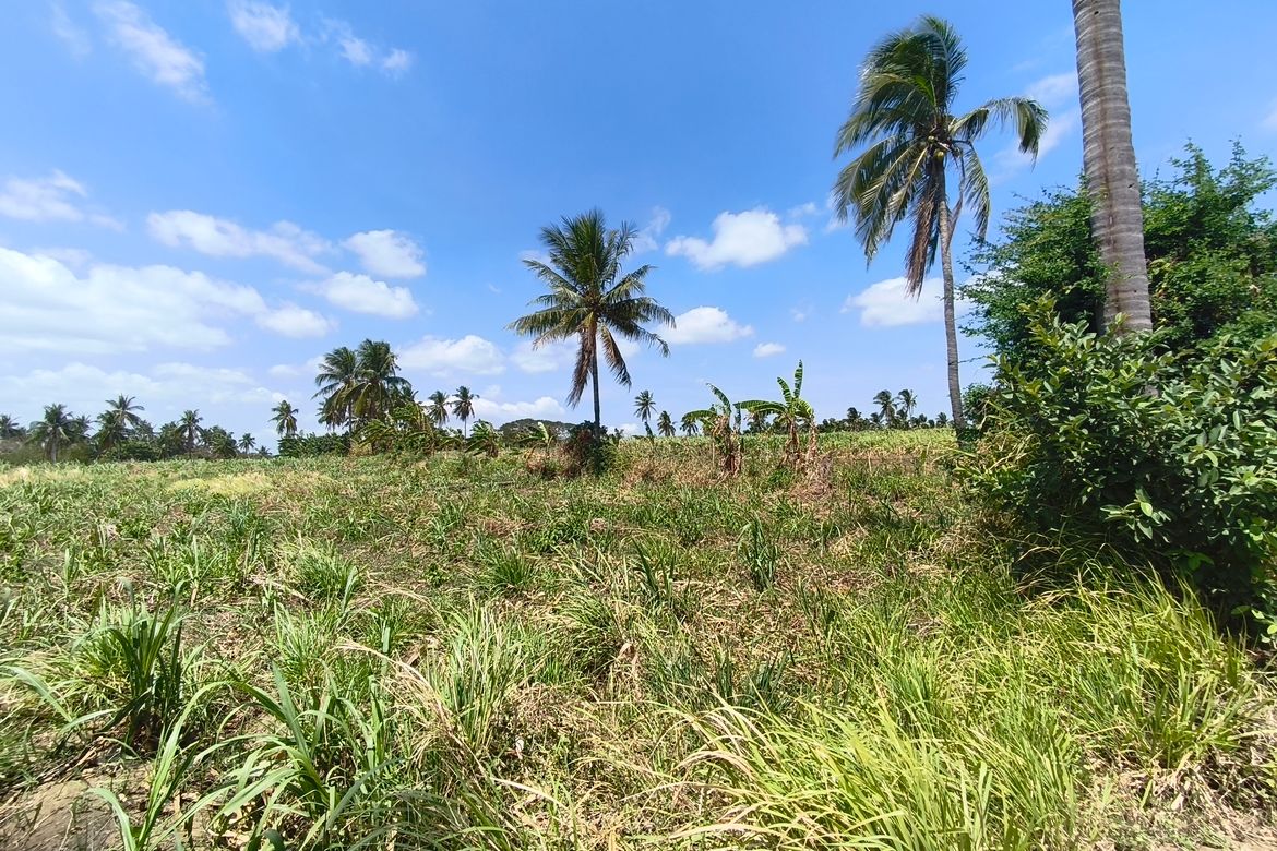 Land for Sale in Calaca, Batangas – photo 5
