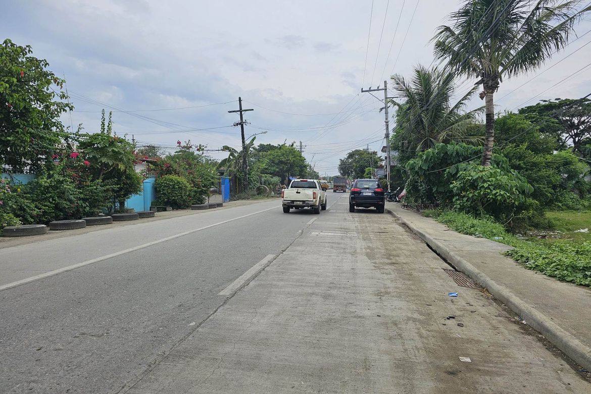Land for Sale in Calahunan, Iloilo City, Iloilo – photo 2