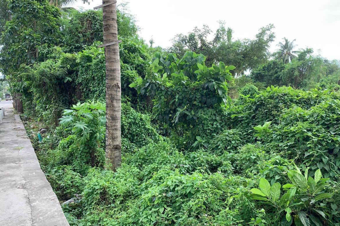 Land for Sale in Calangag, Bacong, Negros Oriental – photo 5