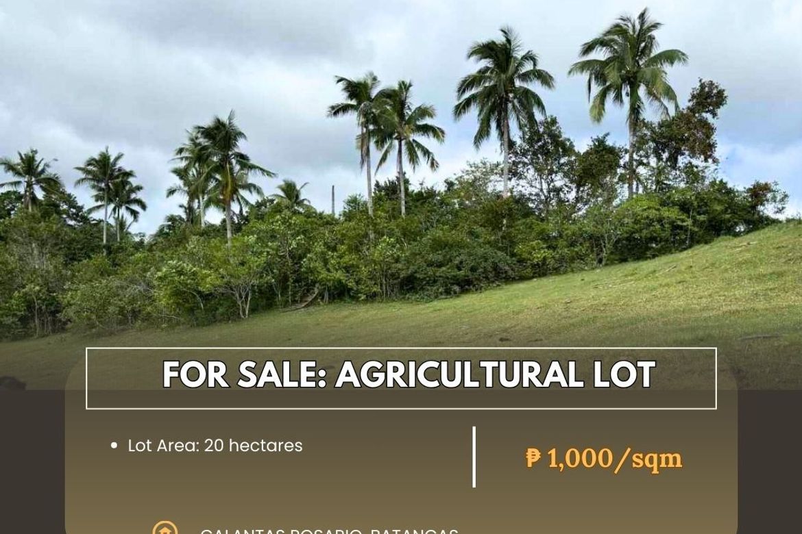 Land for Sale in Calantas, Rosario, Batangas