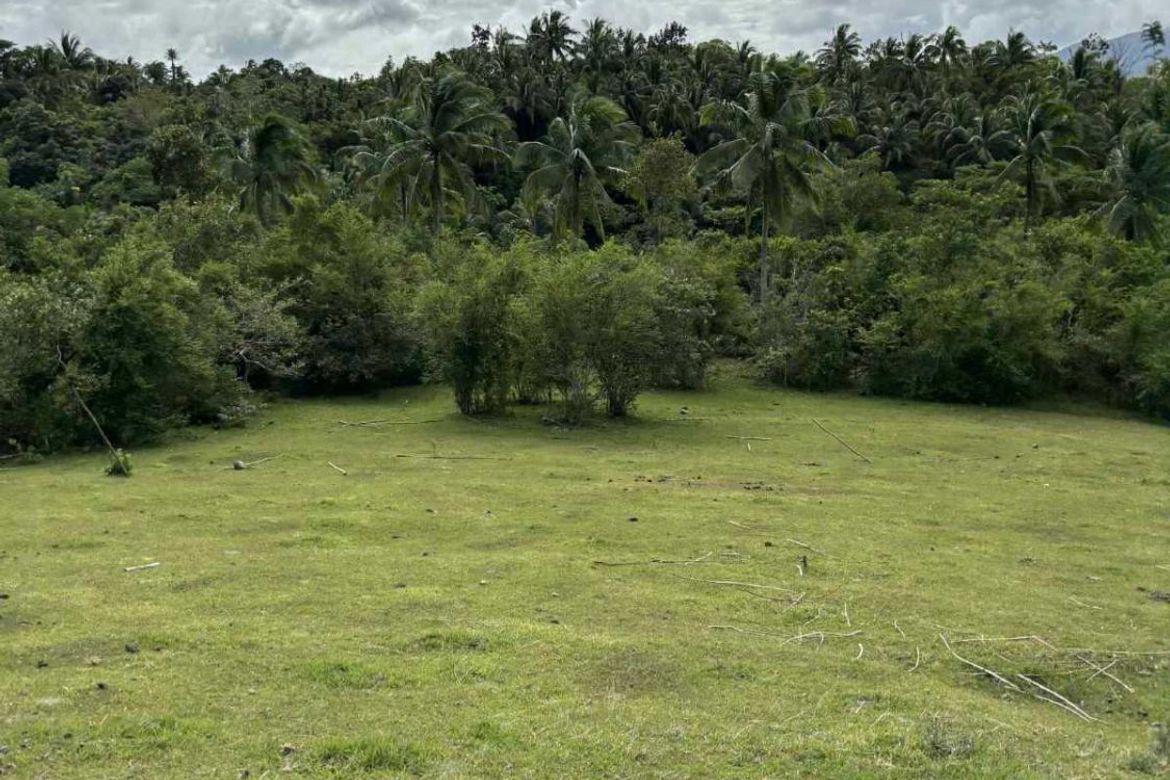 Land for Sale in Calantas, Rosario, Batangas – photo 4