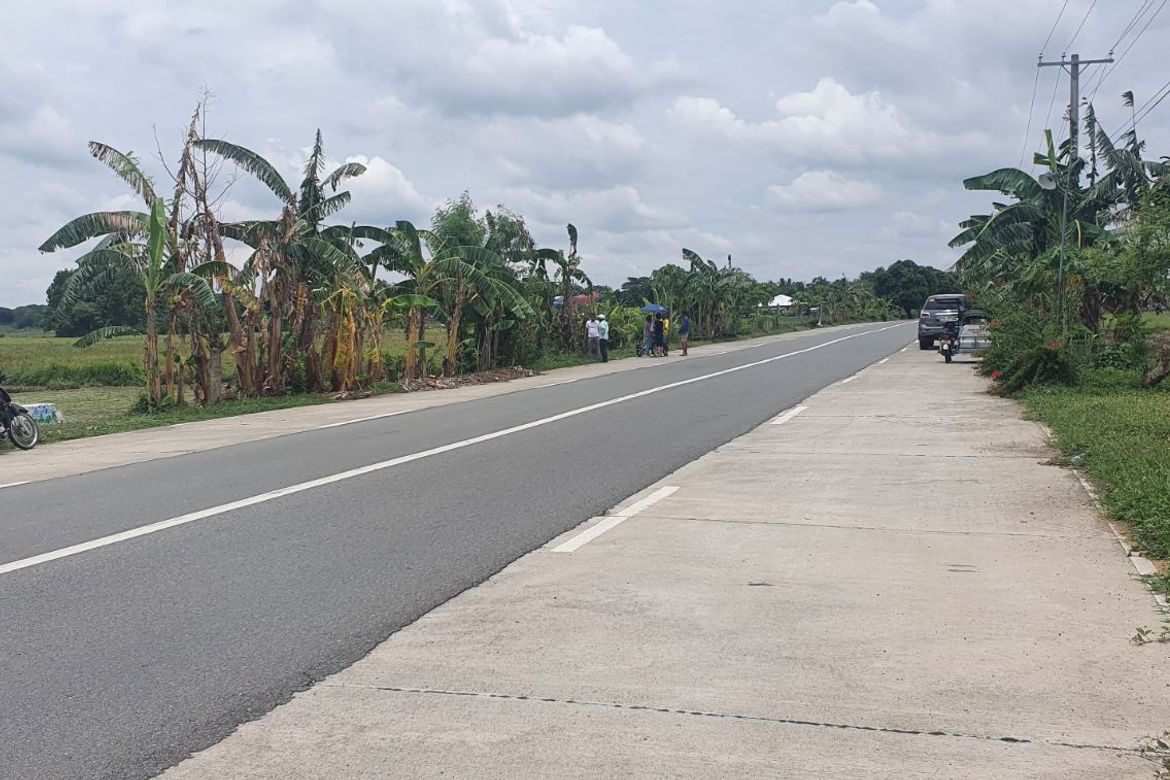 Land for Sale in Calanutan, Rosales, Pangasinan – photo 2