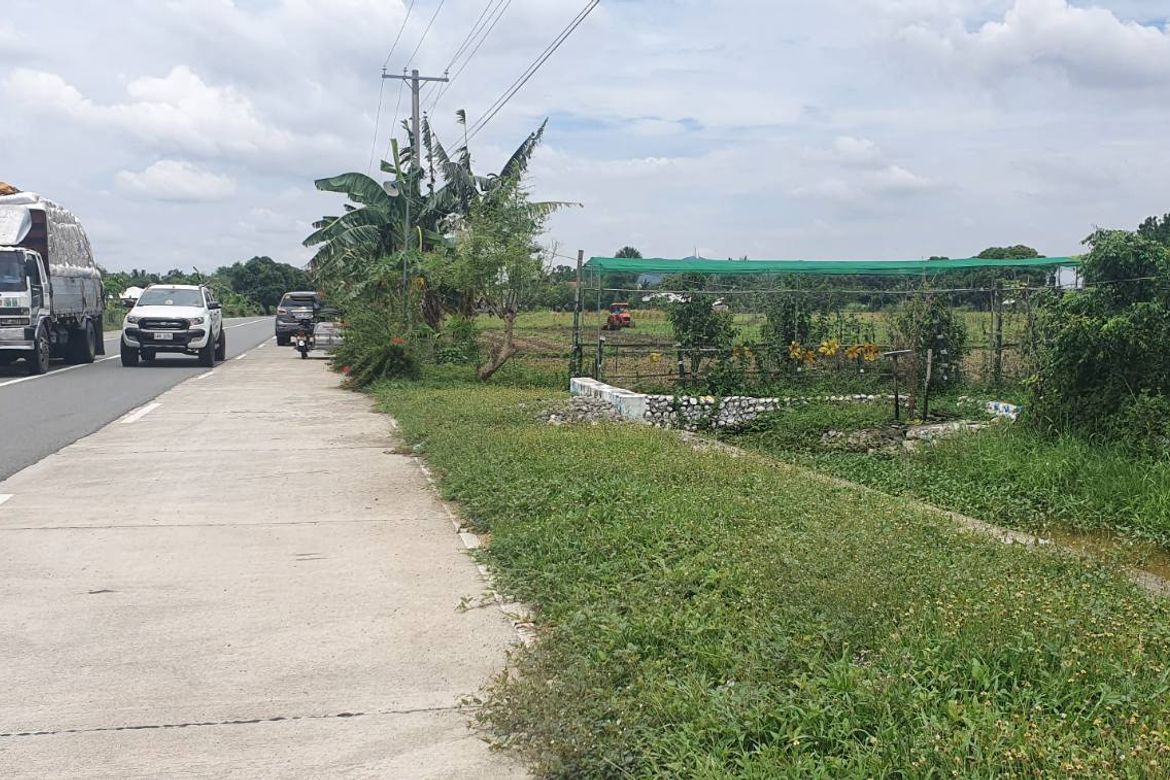 Land for Sale in Calanutan, Rosales, Pangasinan – photo 4