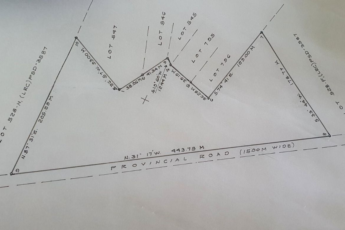 Land for Sale in Calanutan, Rosales, Pangasinan – photo 7