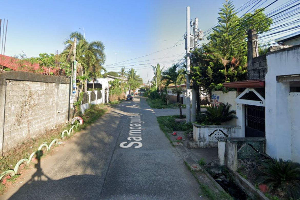 Land for Sale in Calao East, Santiago, Isabela – photo 3