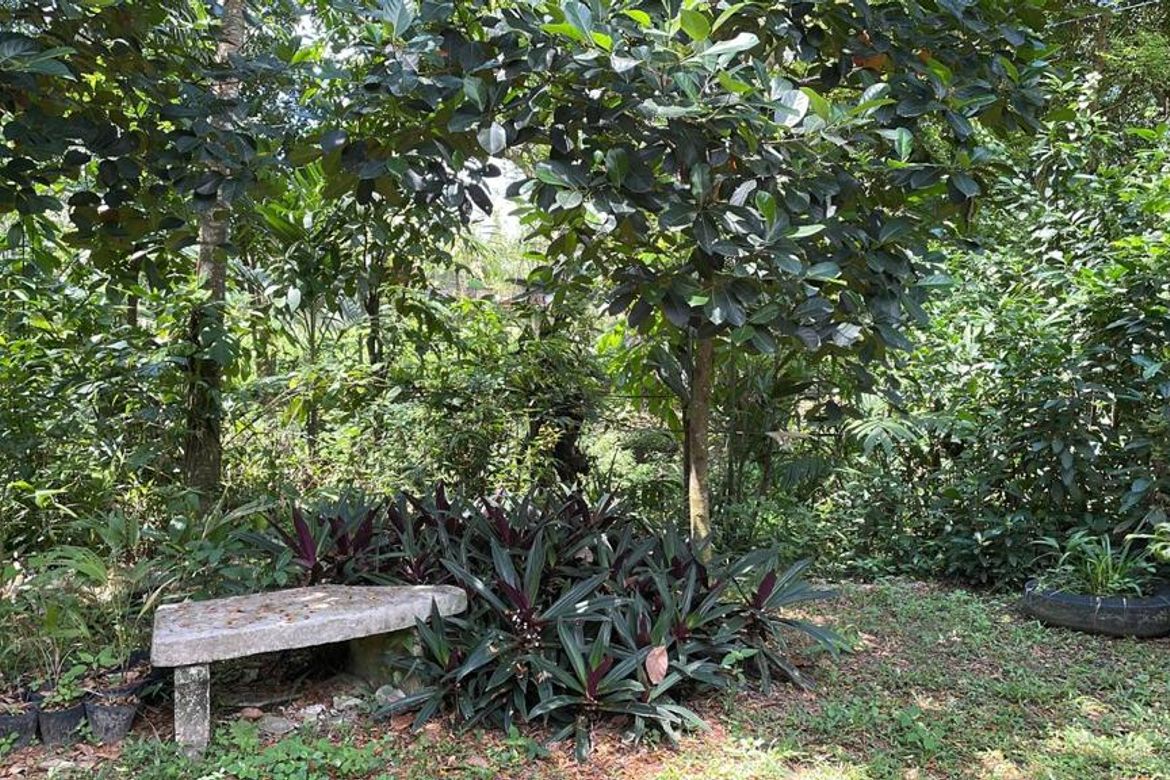 Land for Sale in Calarian, Zamboanga City, Zamboanga del Sur – photo 2