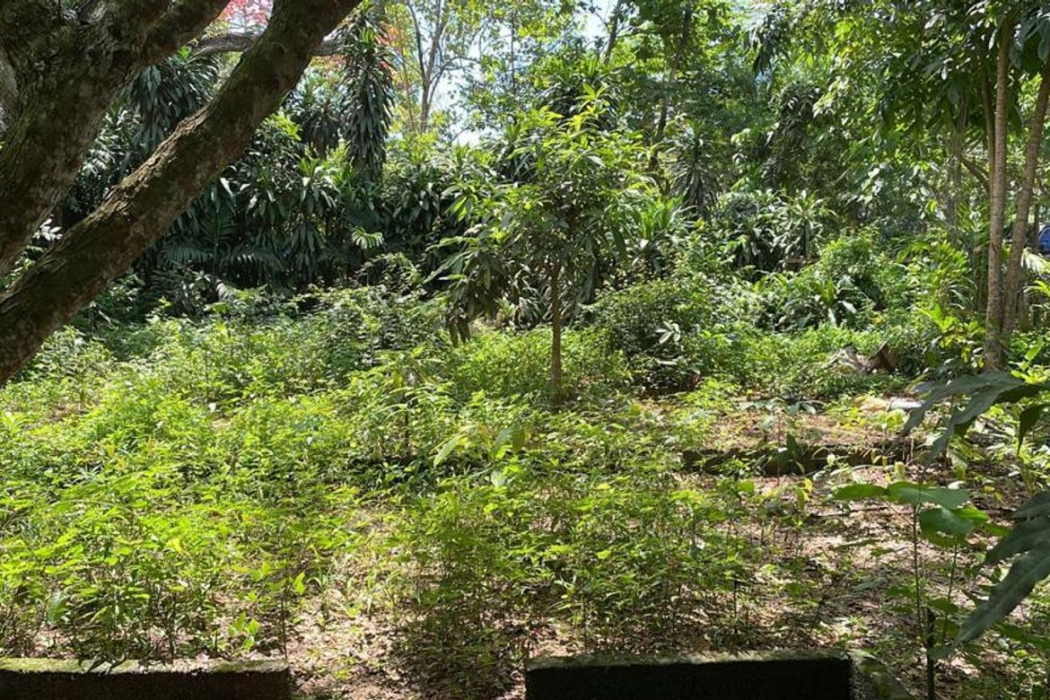 Land for Sale in Calarian, Zamboanga City, Zamboanga del Sur – photo 5