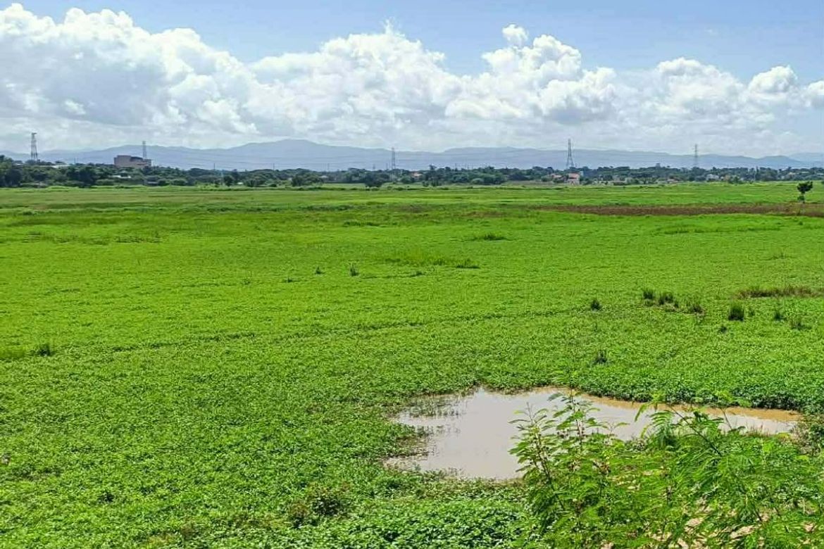 Land for Sale in Calasag, San Ildefonso, Bulacan