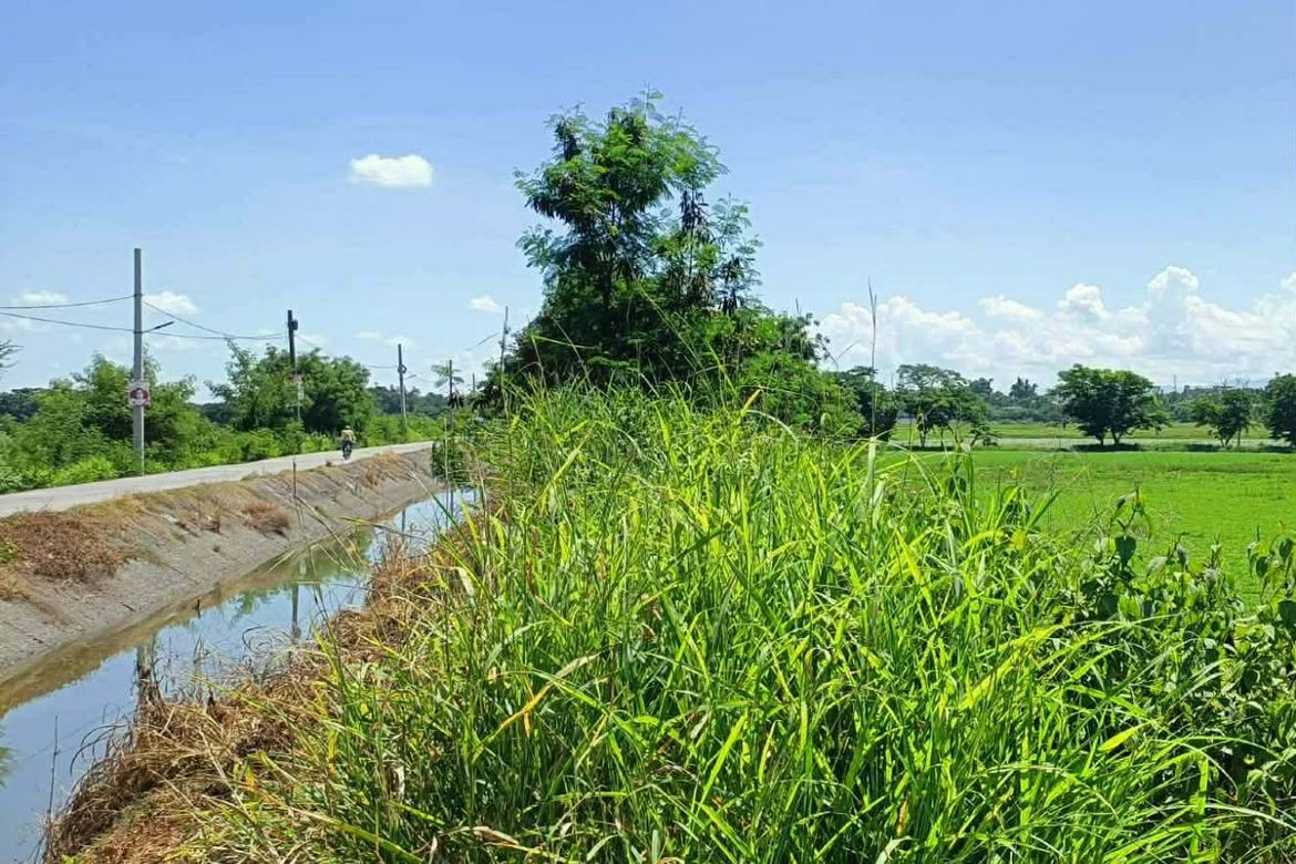 Land for Sale in Calasag, San Ildefonso, Bulacan – photo 4