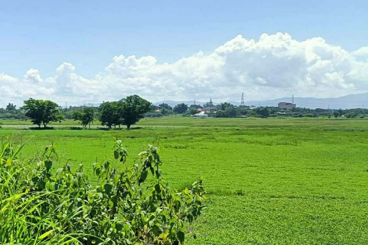 Land for Sale in Calasag, San Ildefonso, Bulacan – photo 5