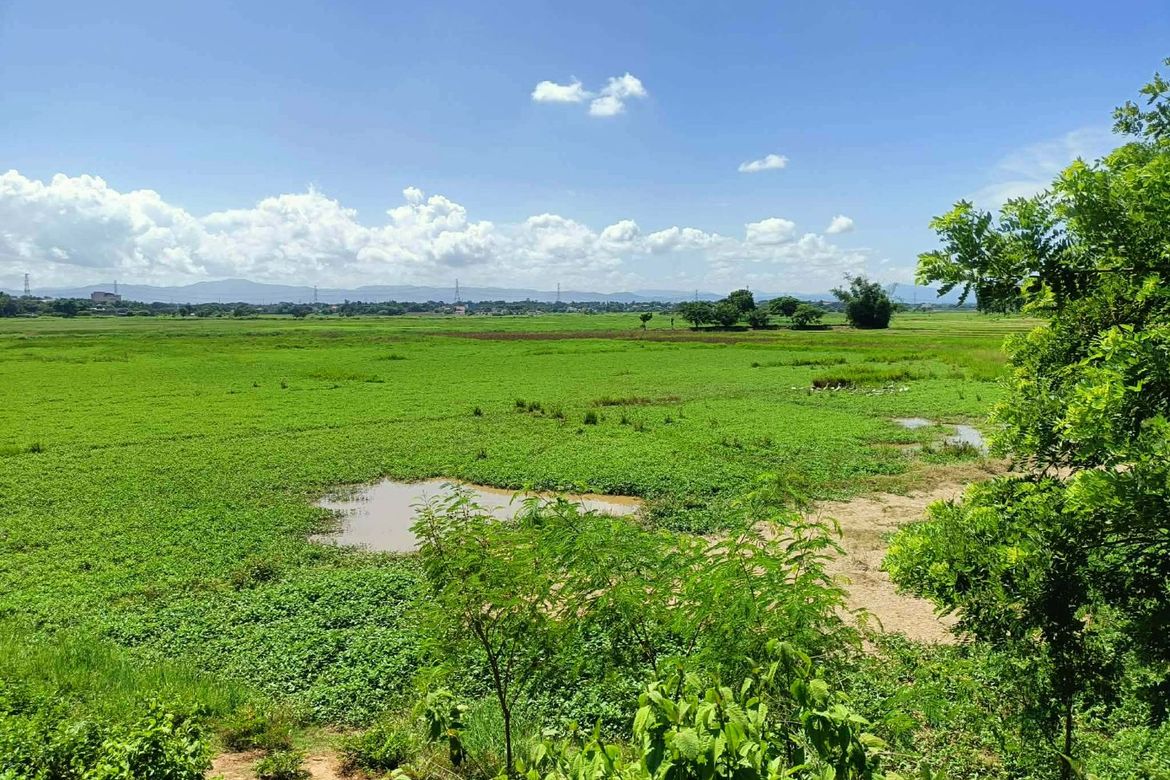 Land for Sale in Calasag, San Ildefonso, Bulacan – photo 7