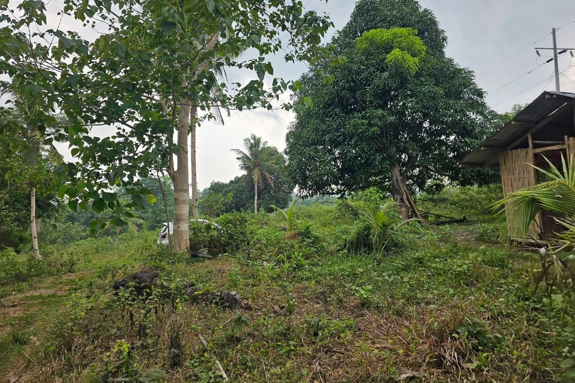Land for Sale in Calatrava, Carmen, Bohol – photo 2