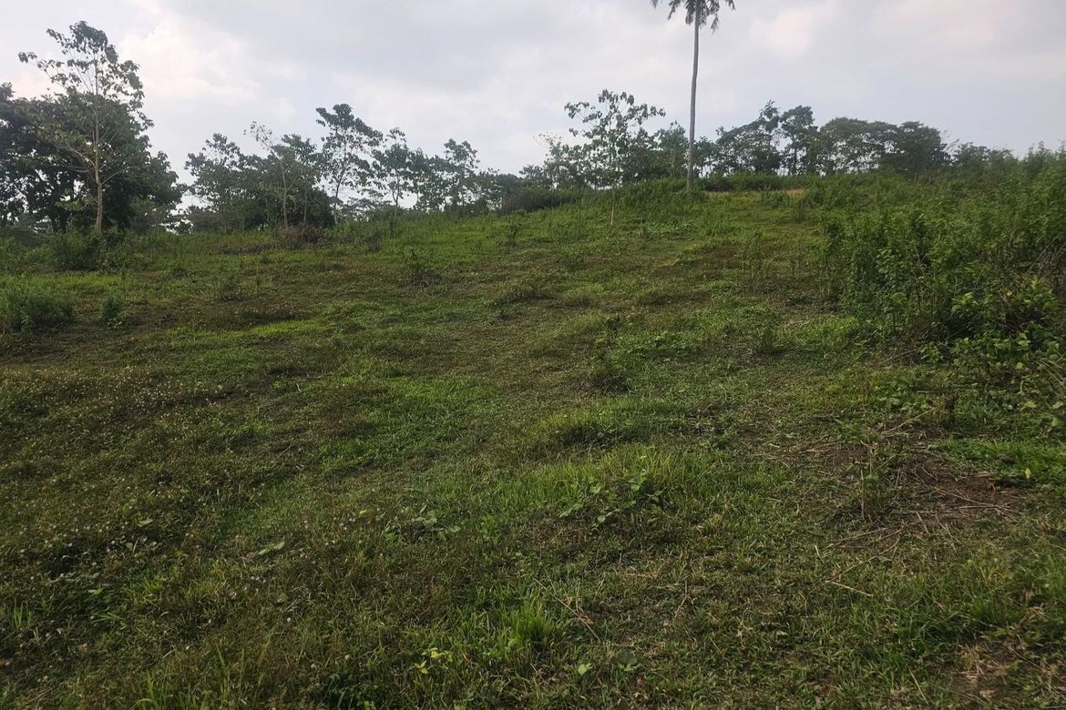 Land for Sale in Calatrava, Carmen, Bohol – photo 6