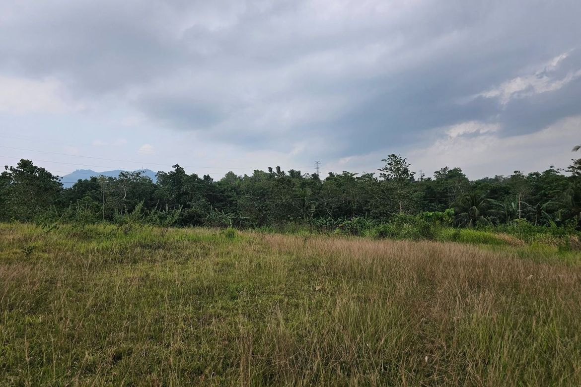 Land for Sale in Calatrava, Carmen, Bohol – photo 7