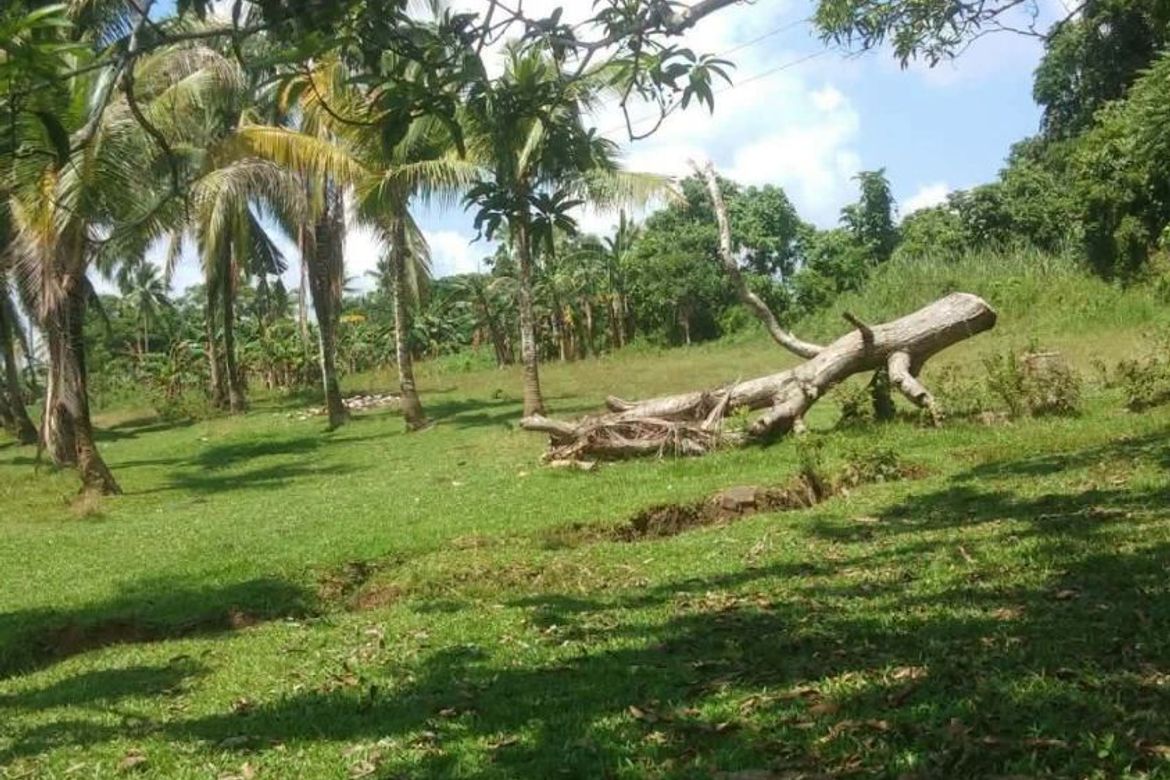 Land for Sale in Calatrava, Carmen, Bohol – photo 2