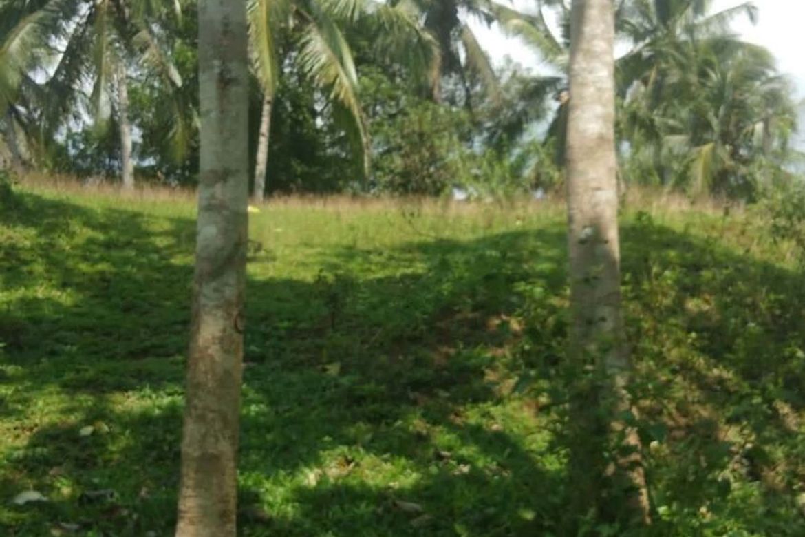 Land for Sale in Calatrava, Carmen, Bohol – photo 7