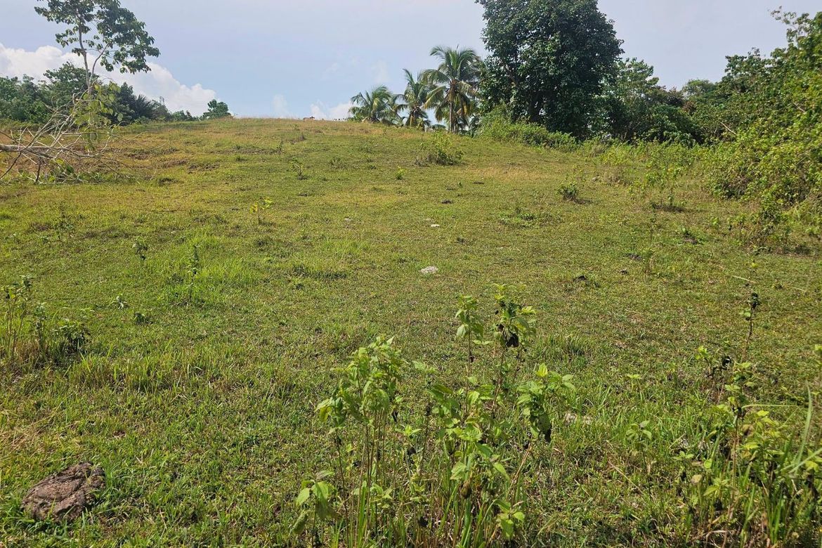 Land for Sale in Calatrava, Carmen, Bohol