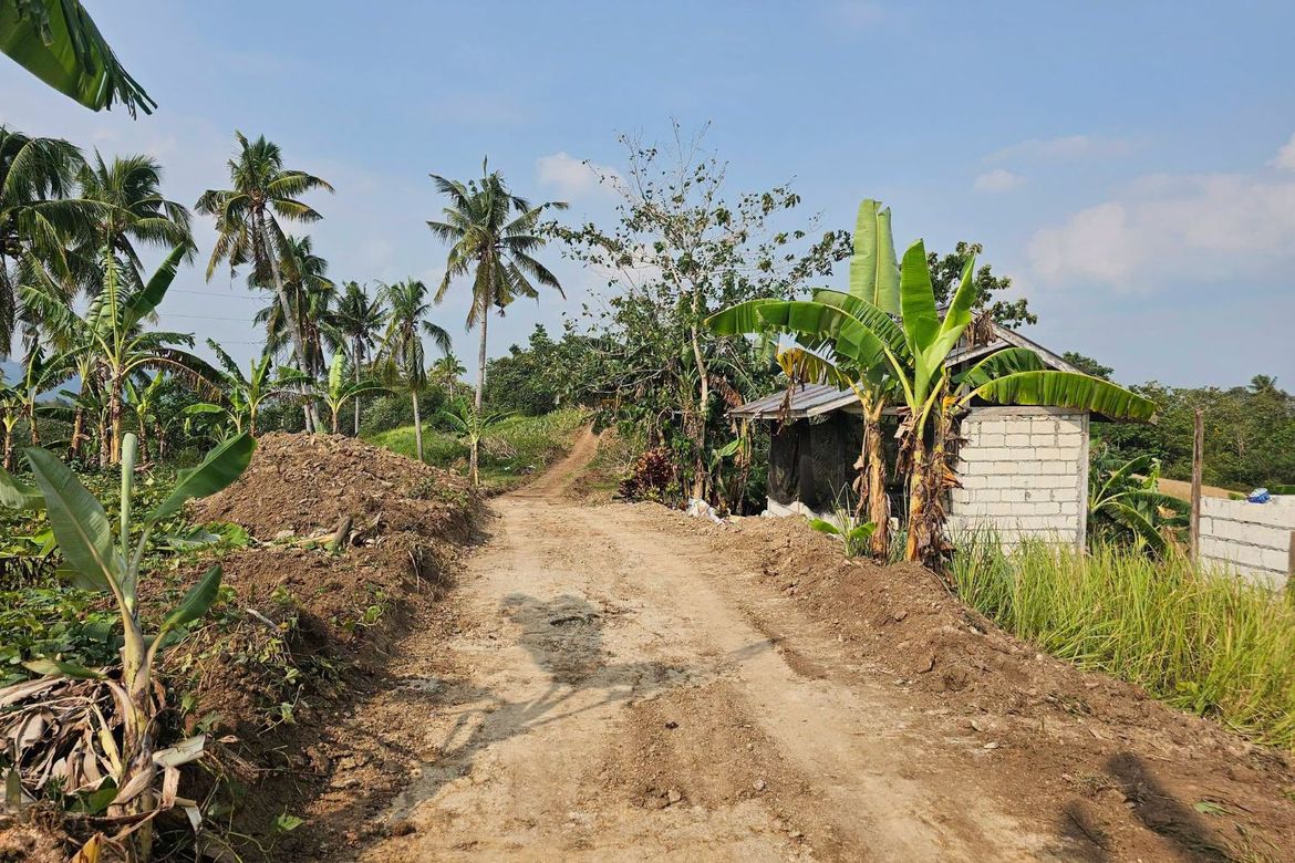Land for Sale in Calatrava, Carmen, Bohol